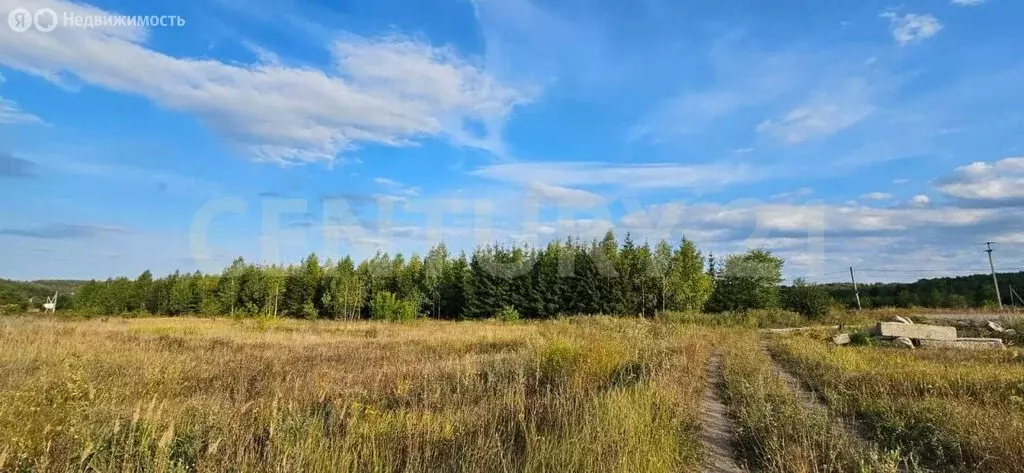 Участок в Сенгилеевский район, Тушнинское сельское поселение, село ... - Фото 1