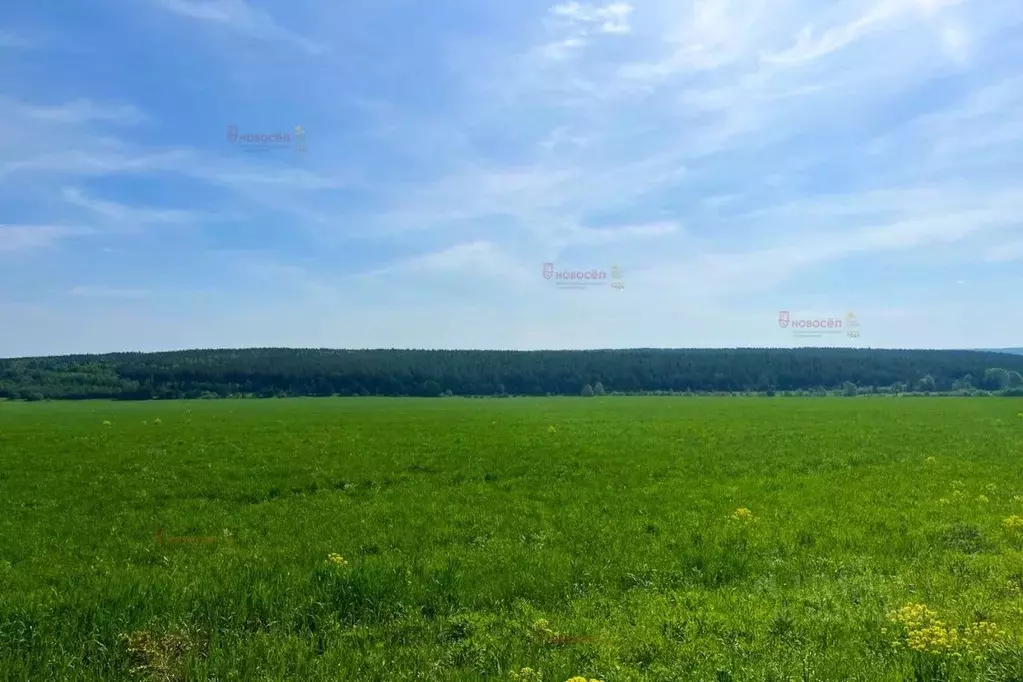 Участок в Свердловская область, Ачитский городской округ, пос. ... - Фото 0