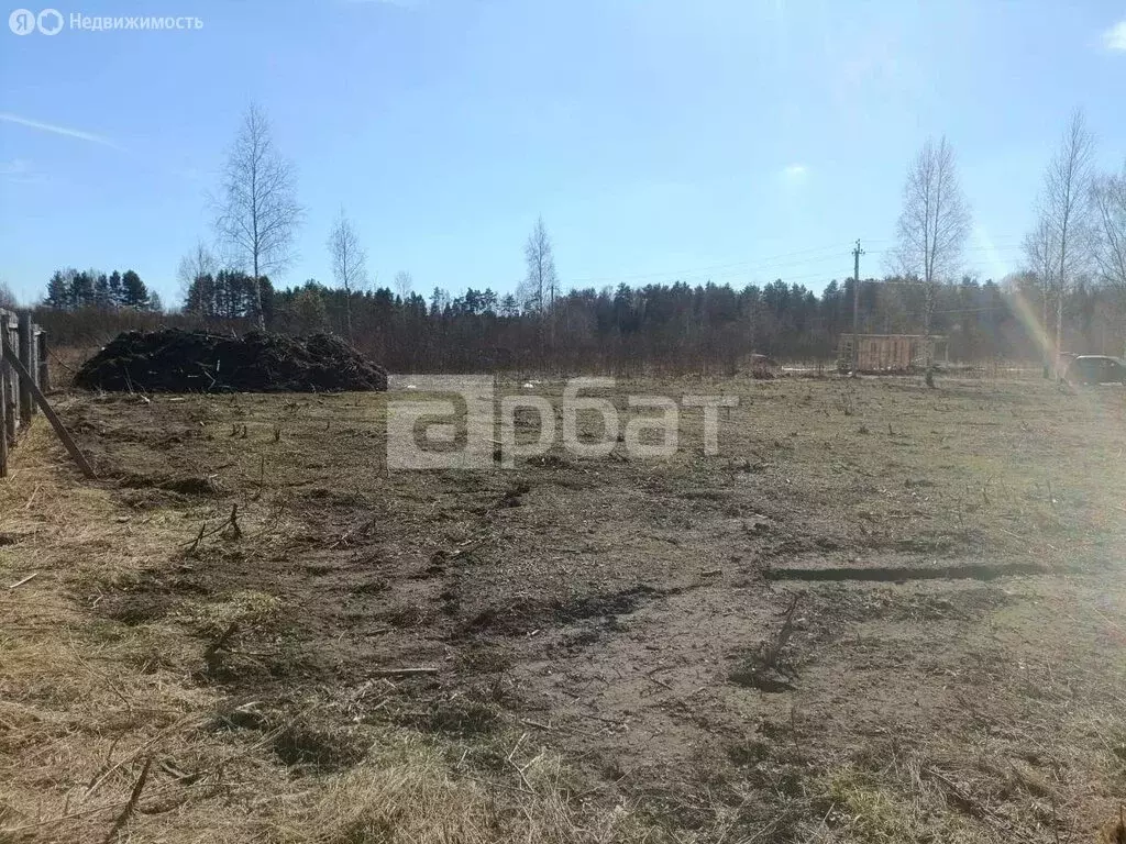 Участок в Красносельский район, Боровиковское сельское поселение, ... - Фото 2