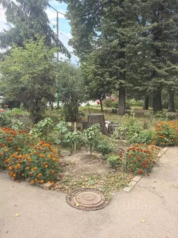 3-к кв. Тульская область, Тула Оборонная ул., 24 (60.3 м) - Фото 2