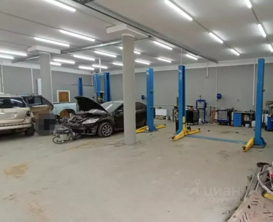 Помещение свободного назначения в Московская область, Одинцовский ... - Фото 2