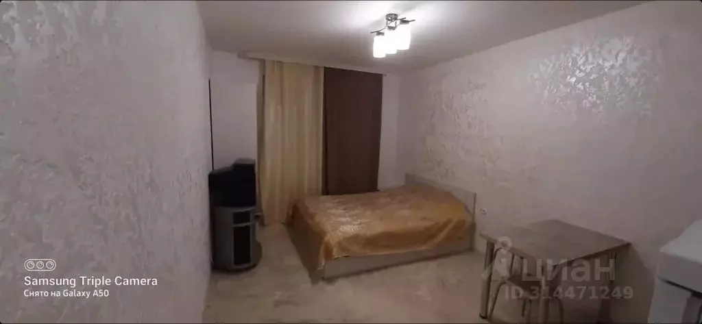 Студия Курская область, Курск ул. 8 Марта, 104 (22.0 м) - Фото 1