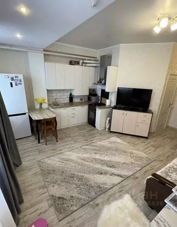 Студия Краснодарский край, Сочи ул. Тимирязева, 40Г (28.0 м) - Фото 2