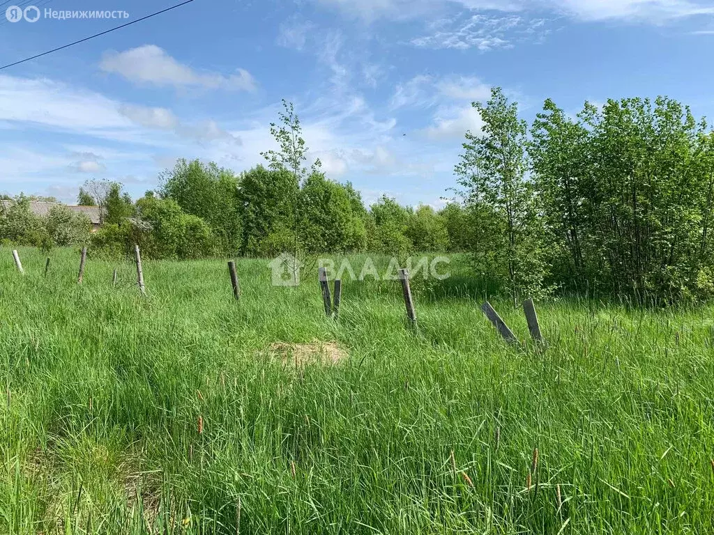 Участок в Республика Карелия, Олонецкое городское поселение, деревня ... - Фото 0