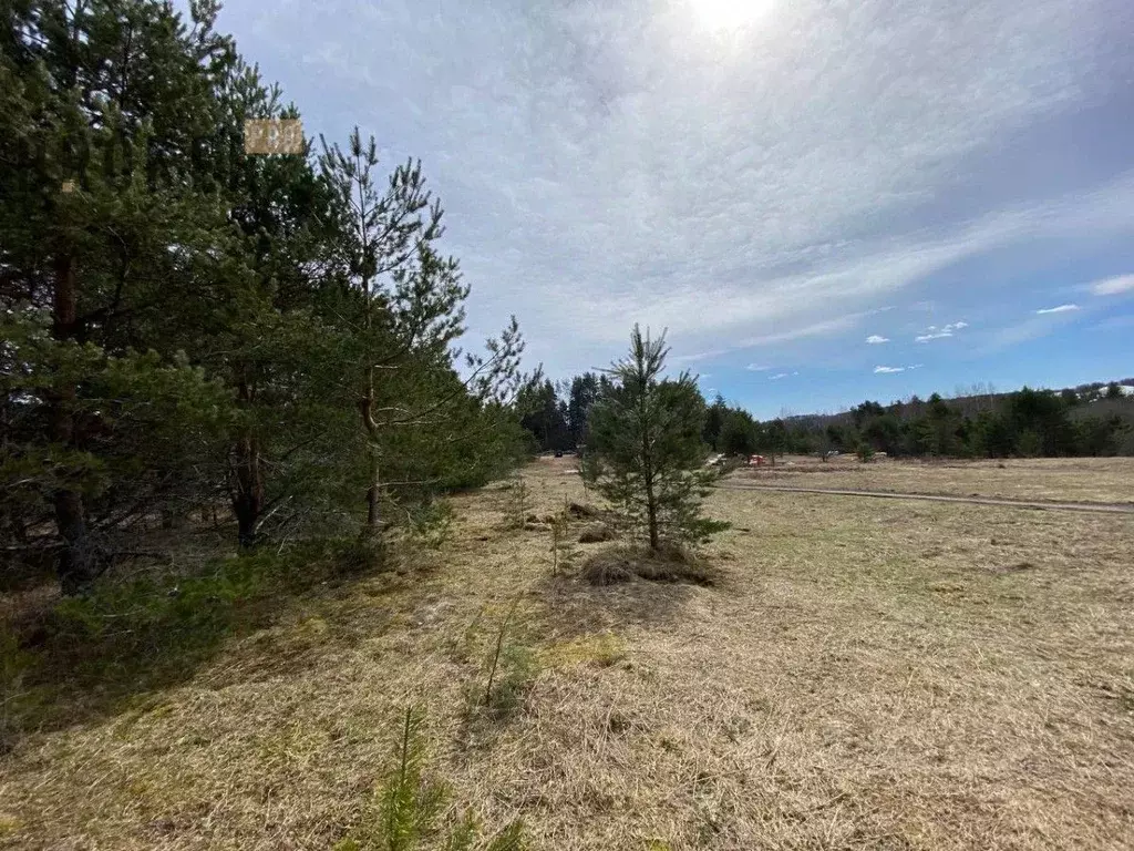 Участок в Ленинградская область, Приозерский район, Красноозерное ... - Фото 1