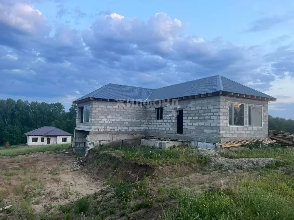 Дом в Новосибирская область, Новосибирский район, Раздольненский ... - Фото 1