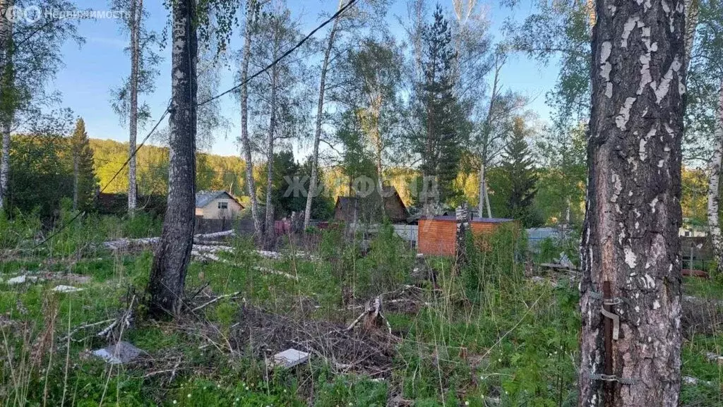 Участок в Новосибирск, садовое товарищество Заря (8.6 м) - Фото 1