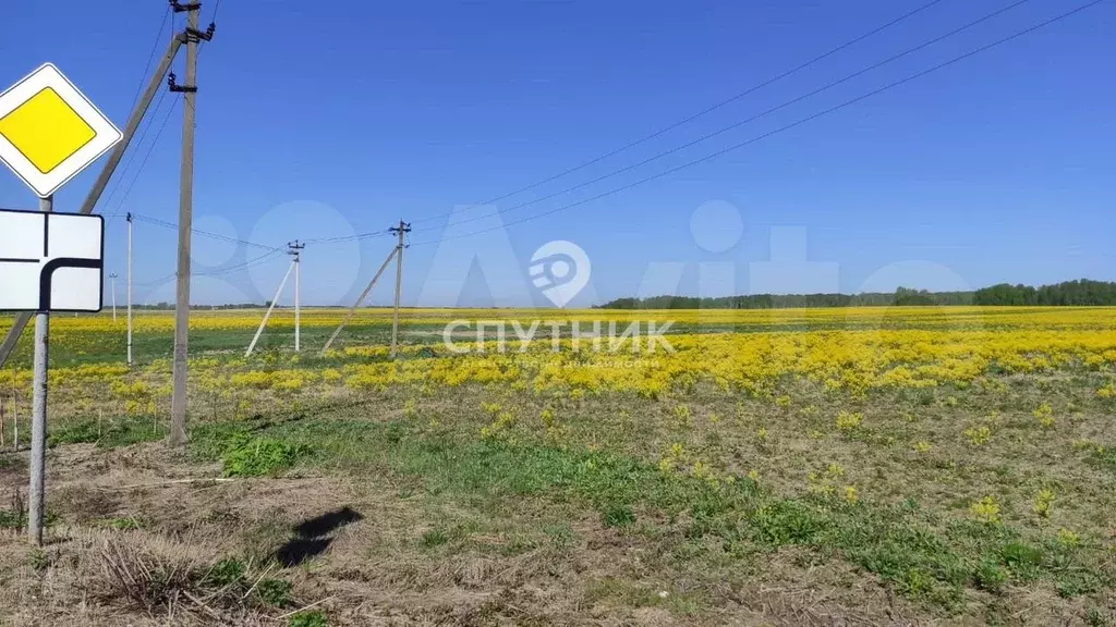 Участок 15 сот. (ИЖС) - Фото 0