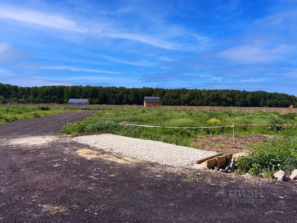 Участок в Московская область, Домодедово городской округ, с. ... - Фото 2