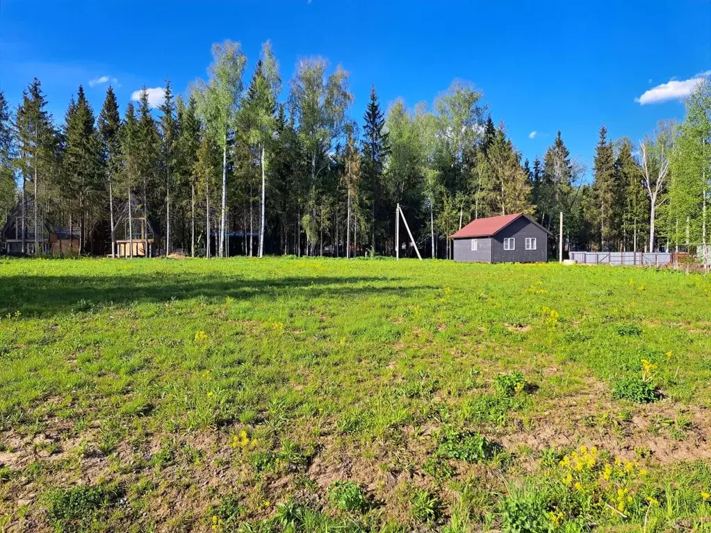Участок в Московская область, Дмитровский муниципальный округ, ... - Фото 1