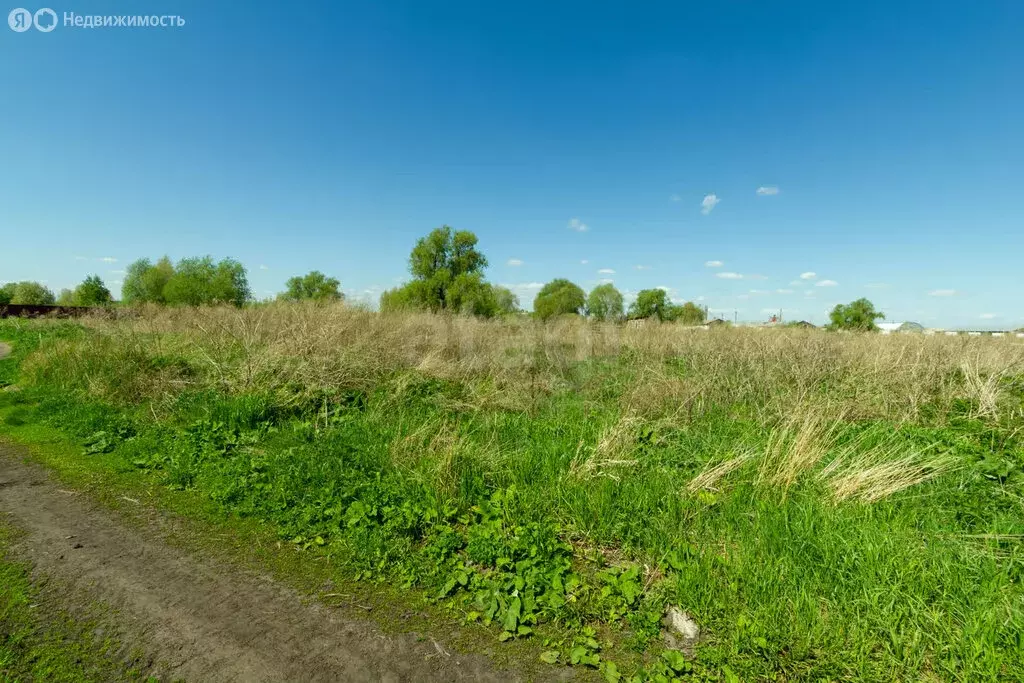 Участок в село Рассвет, Молодёжная улица (33 м) - Фото 2