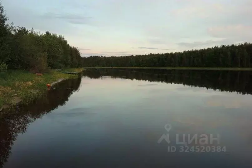 Дом в Карелия, Олонецкий район, Ильинское с/пос, с. Нурмойла ул. ... - Фото 1