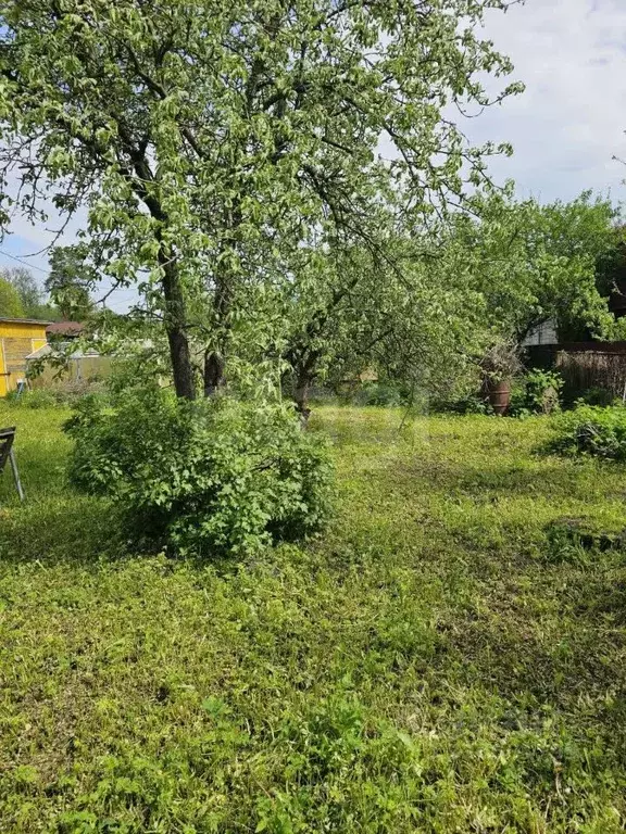 Участок в Санкт-Петербург Дружный-1 СНТ, 8-я линия, 27 (6.39 сот.) - Фото 1