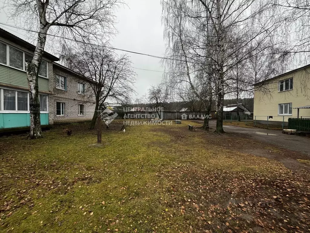 1-к кв. Рязанская область, Спасский муниципальный округ, с. Дегтяное ... - Фото 2