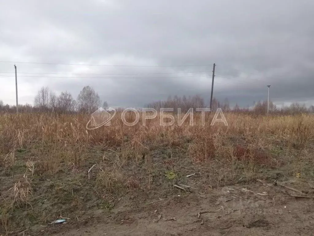 Участок в Тюменская область, Тюмень Ясень садовое товарищество, ул. ... - Фото 1