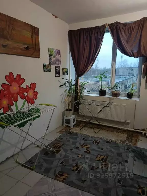 3-к кв. Ленинградская область, Кингисеппский район, Большелуцкое ... - Фото 2