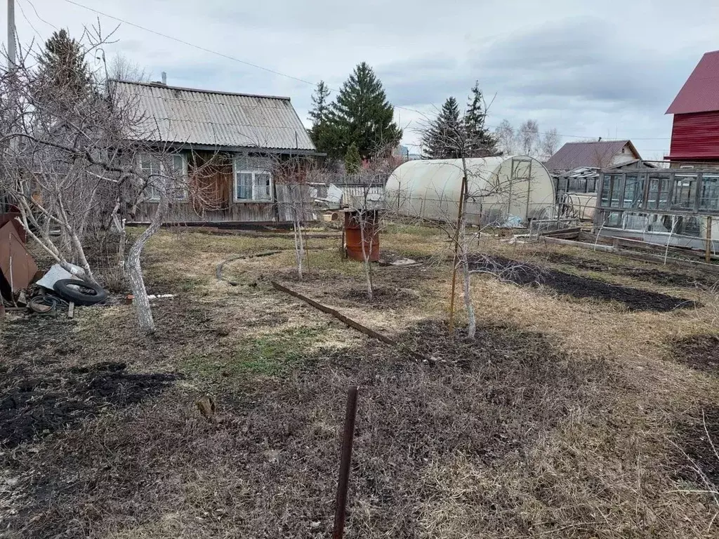 Участок в Новосибирская область, Новосибирск Коллективный труд садовое ... - Фото 1