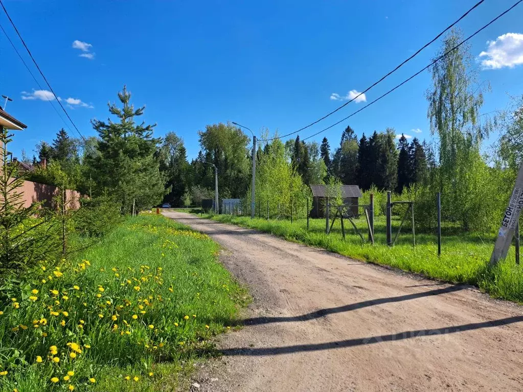 Участок в Московская область, Дмитровский муниципальный округ, д. ... - Фото 1