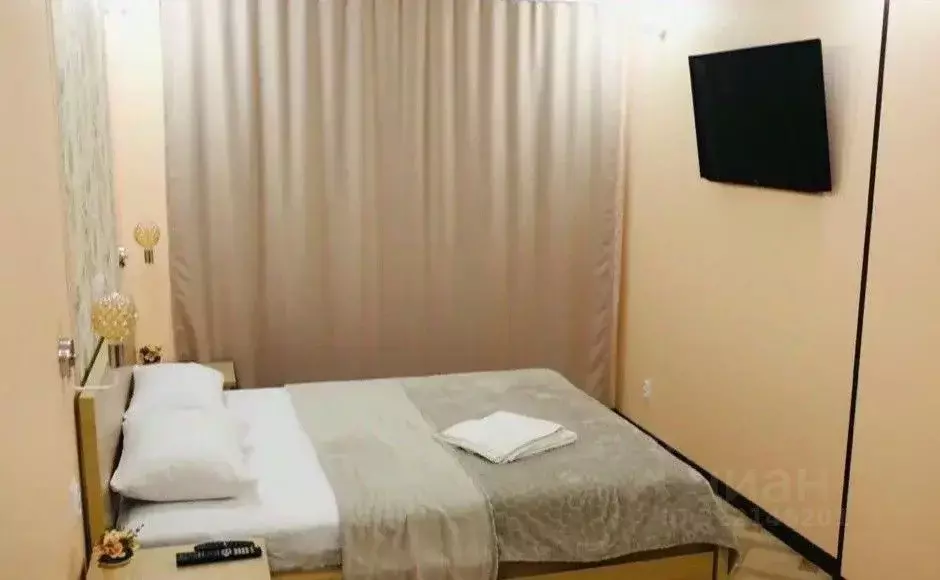 2-к кв. Нижегородская область, Нижний Новгород пл. Максима Горького, 4 ... - Фото 2