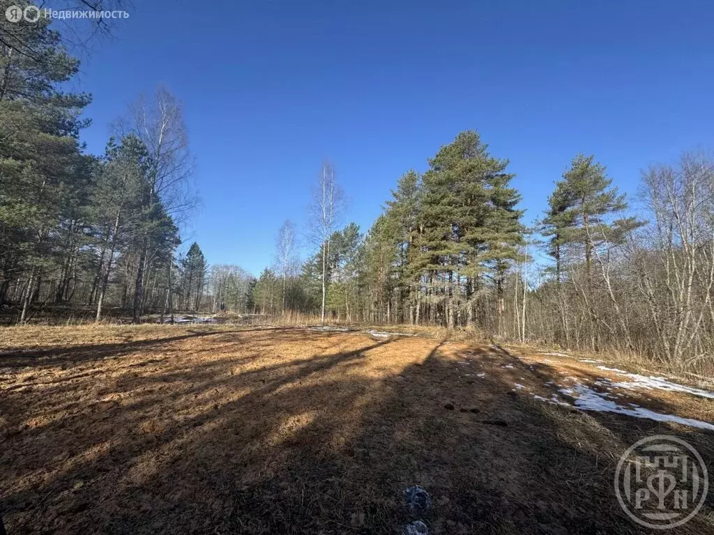 Участок в Серебрянское сельское поселение, деревня Смерди (28 м) - Фото 2