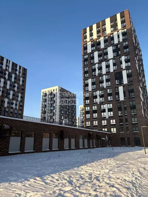 1-к кв. Московская область, Ленинский городской округ, Мисайлово пгт, ... - Фото 1