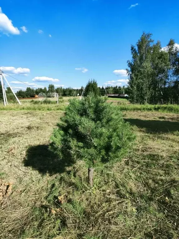 Участок в Московская область, Ступино городской округ, д. Горки  (8.08 ... - Фото 2