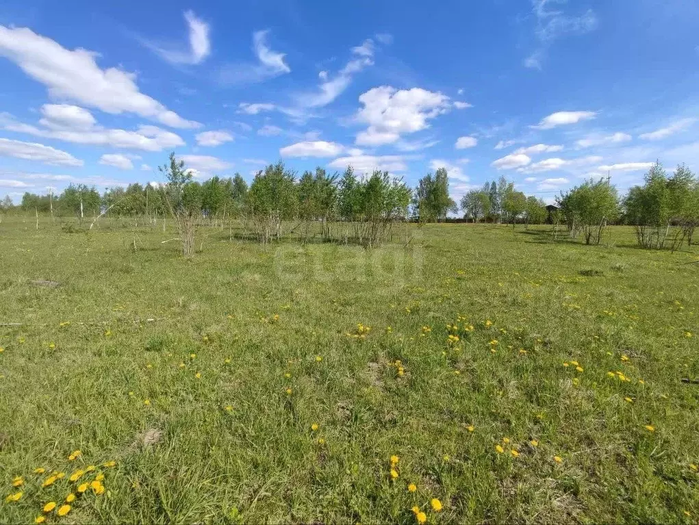 Участок в Брянская область, Брянский район, Глинищевское с/пос, с. ... - Фото 1