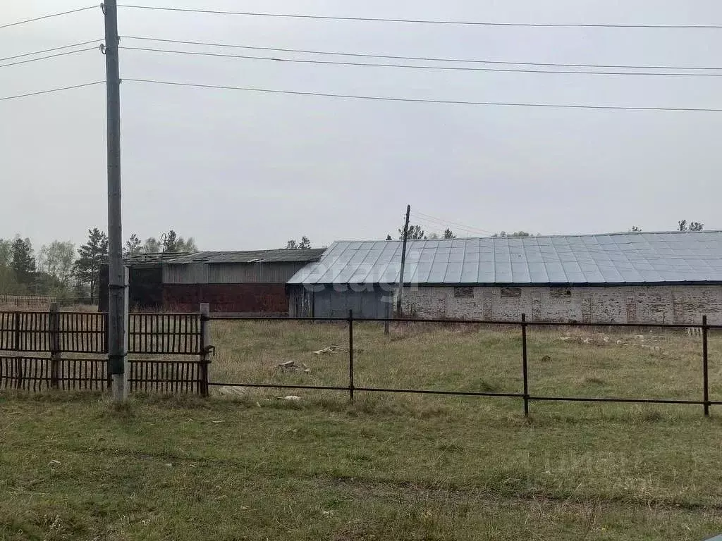 Склад в Курганская область, Кетовский муниципальный округ, с. ... - Фото 1