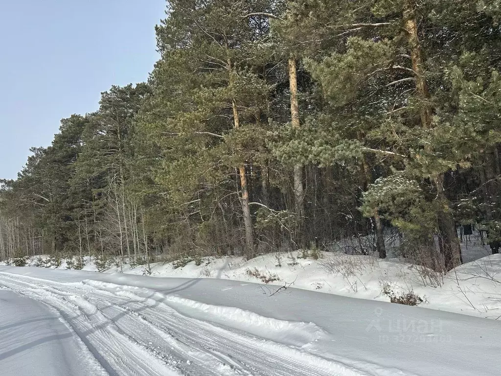 Участок в Свердловская область, Екатеринбург пер. Певческий (20.0 ... - Фото 1