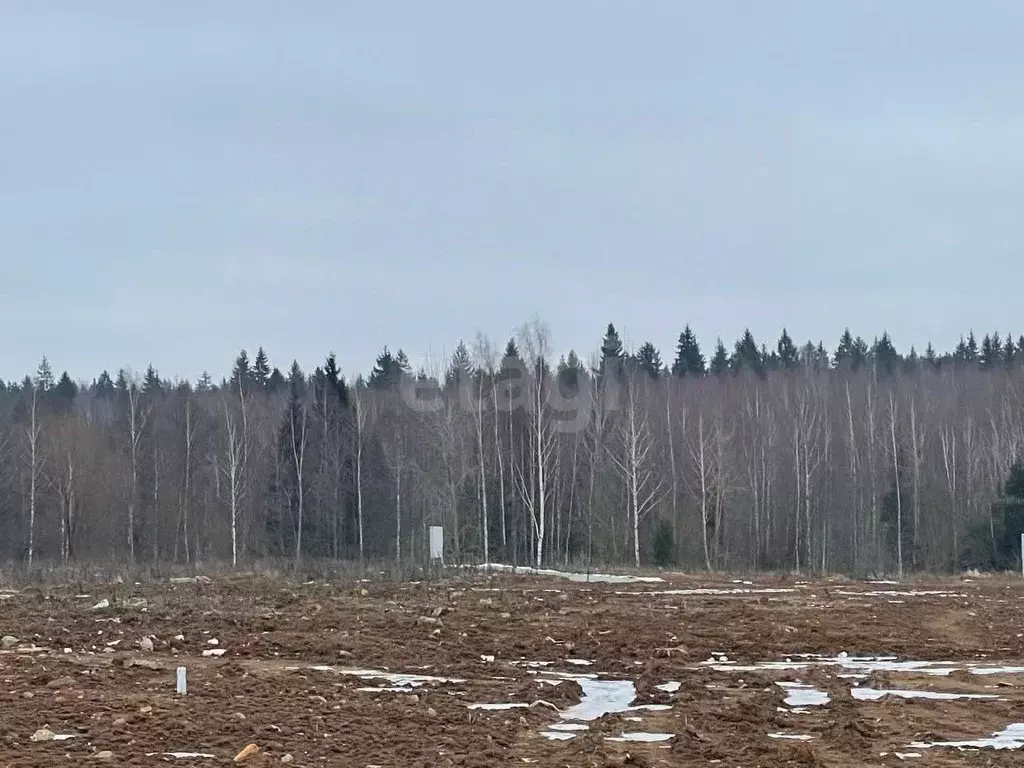 Участок в Москва Фаворит кп,  (5.9 сот.) - Фото 1