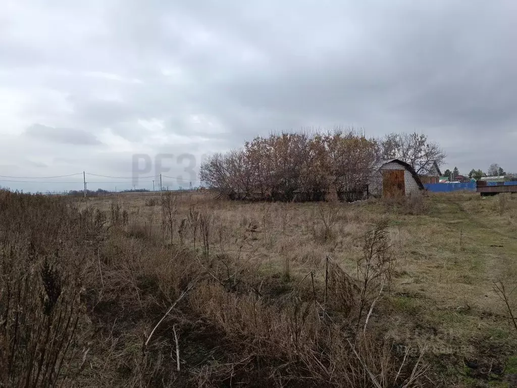 Участок в Самарская область, Красный Яр с/пос, д. Верхняя Солонцовка ... - Фото 2