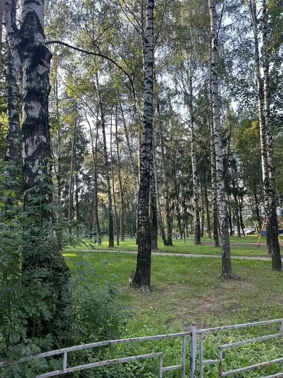 1-к кв. Московская область, Красногорск городской округ, пос. ... - Фото 2