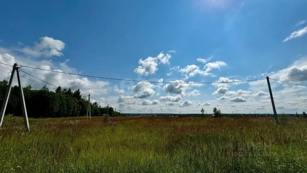 Участок в Владимирская область, Александровский район, Андреевское ... - Фото 1