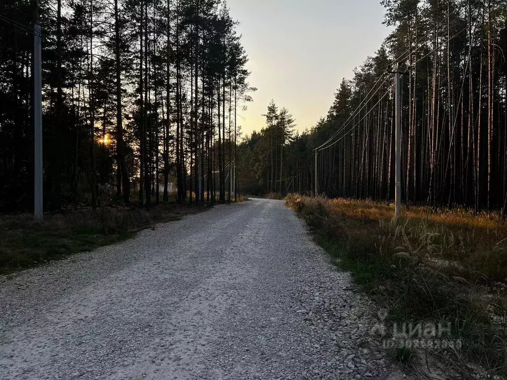 Участок в Владимирская область, Судогодский район, Вяткинское ... - Фото 1