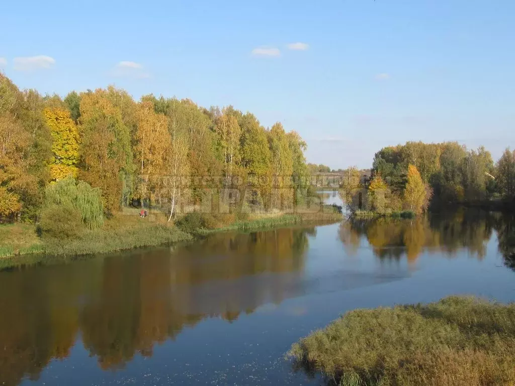 Участок в Смоленская область, Смоленский муниципальный округ, д. ... - Фото 0