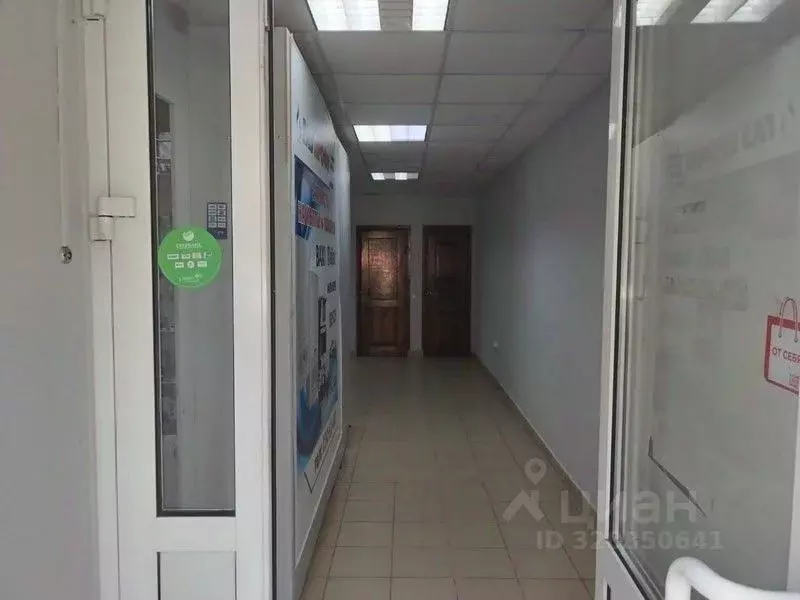Помещение свободного назначения в Нижегородская область, Бор ... - Фото 1