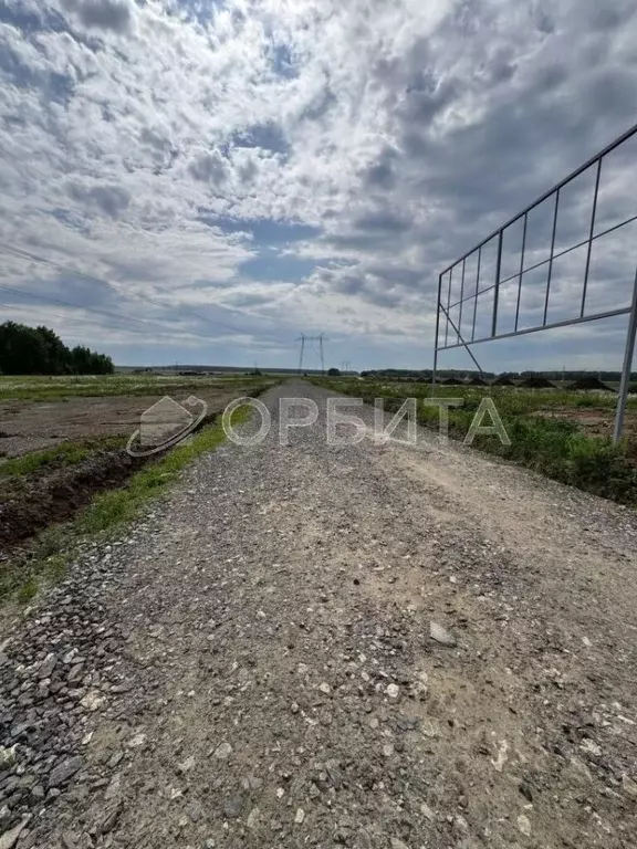 Участок в Тюменская область, Тюменский муниципальный округ, Каменское ... - Фото 2