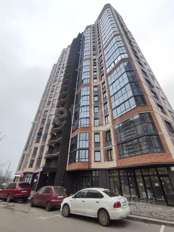 Студия Воронежская область, Воронеж Ростовская ул., 73Дк1 (21.5 м) - Фото 1