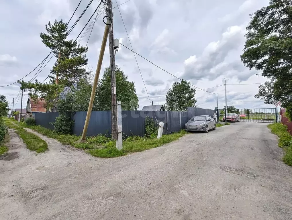 Дом в Тюменская область, Тюмень Подорожник СНТ, ул. Ягодная (43 м) - Фото 1