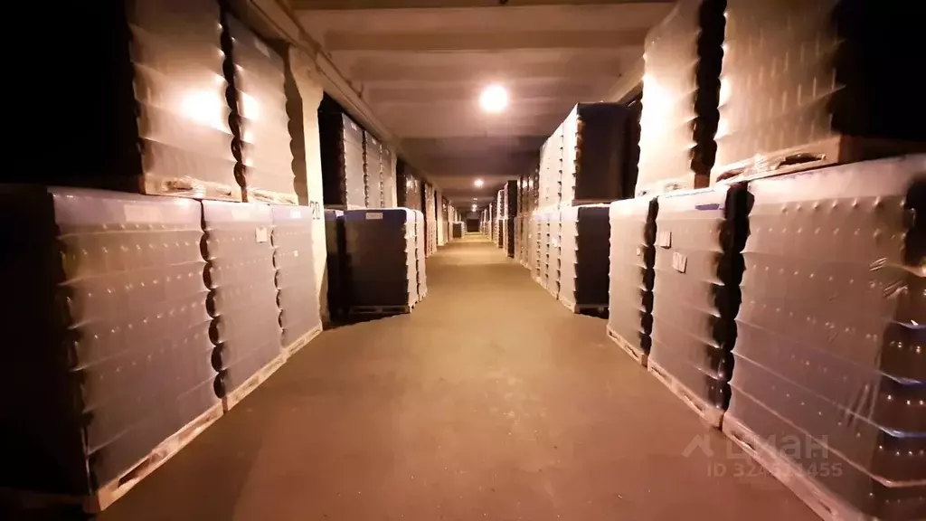 Склад в Ленинградская область, Гатчинский муниципальный округ, пос. ... - Фото 2