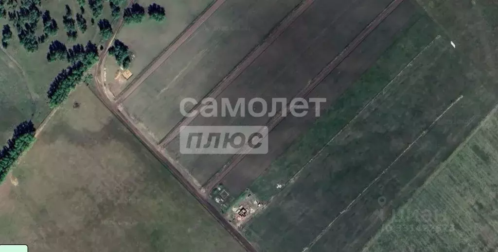 Участок в Омская область, Омский район муниципальный округ, с. ... - Фото 2