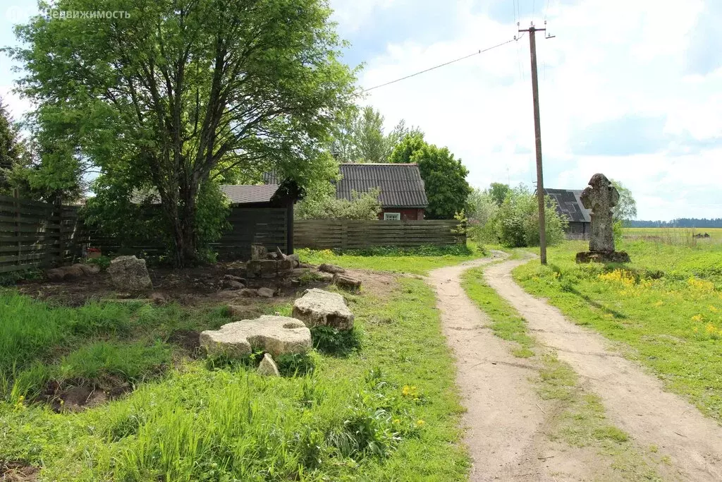 Участок в Волосовский район, Большеврудское сельское поселение, ... - Фото 1