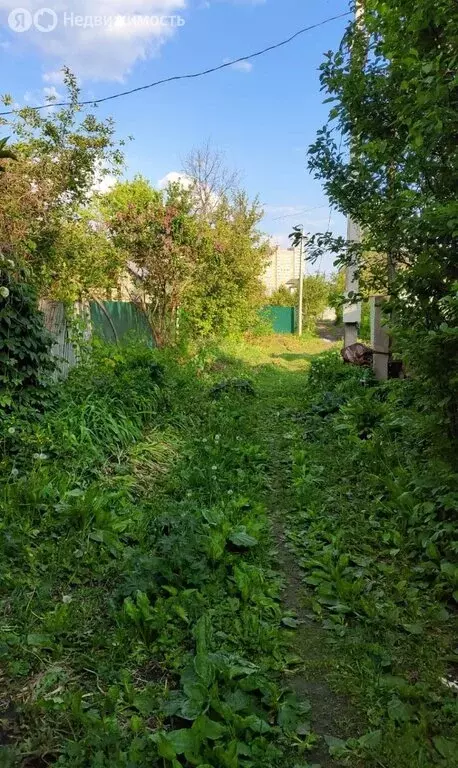 Участок в Липецк, СНТ имени Мичурина, Транспортная улица (5 м) - Фото 1