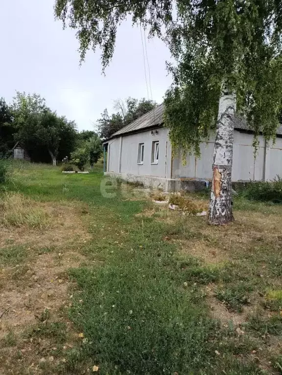 дом в белгородская область, вейделевский район, николаевское с/пос, с. . - Фото 0