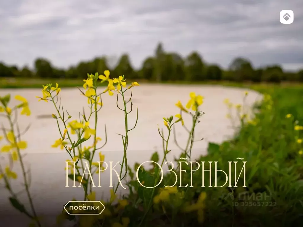 Участок в Московская область, Дмитровский муниципальный округ, Парк ... - Фото 1