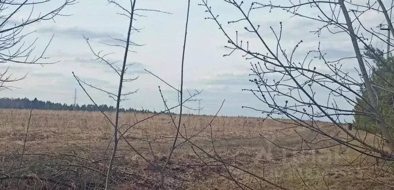 Участок в Московская область, Дмитровский муниципальный округ, д. ... - Фото 0