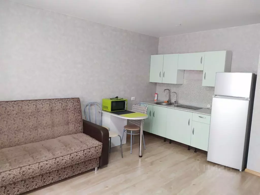Студия Пермский край, д. Кондратово ул. Школьная, 16Б (24.1 м) - Фото 2
