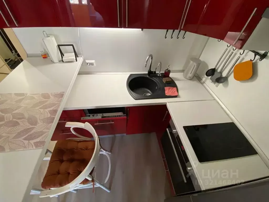 Студия Ленинградская область, Сертолово Всеволожский район, ... - Фото 2