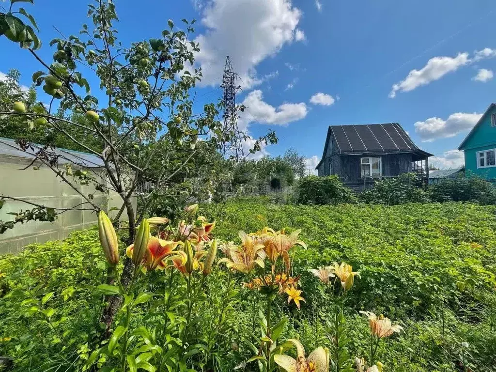 Дом в Владимирская область, Ковров № 15 КЭМЗ СНТ, 24 (11 м) - Фото 1