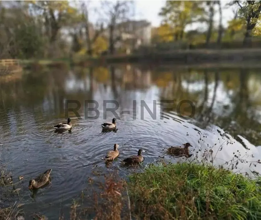 Дом в Ставропольский край, Ставрополь ул. Вавилова (216 м) - Фото 1